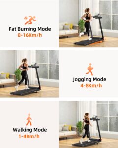 Superun Treadmills for Home Foldable With 5% Incline, 16km/h, 112 * 42cm, 158KG Capacity Folding Treadmill, 2573W Motor Running Machines for Home with APP Control, Door to Door Delivery - Image 7